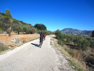 cyclists in mediterranean country landscape