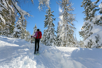 ciaspolata in neve fresca