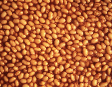 Baked beans background