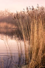 Fotobehang Idyllic lake © Polarpx