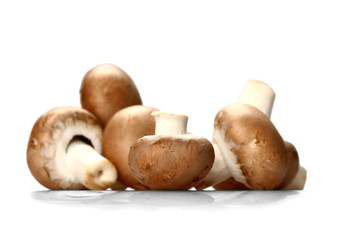 Brown mushrooms on white background, soft focus
