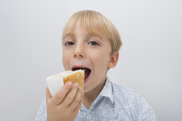Portrait of cute boy eating cake slice against gray background