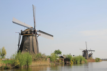 Naklejka premium The Dutch windmill.