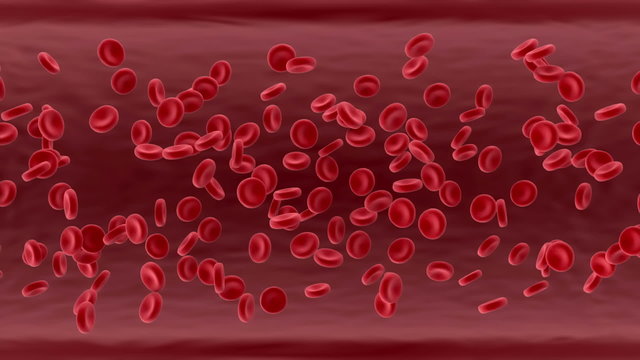 Red Blood Cells Flowing Through Vein. HQ Seamless Looping Video