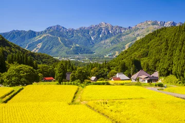 Gardinen Japan-Alpen und Reisfeld, Hakuba-Dorf Aoni © norikazu