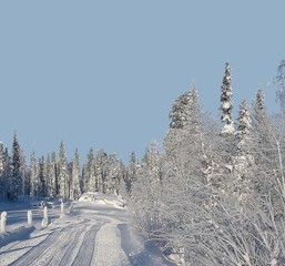neige
