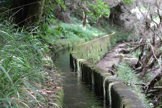 Levada de Madeira