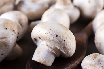Mushrooms
