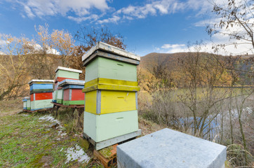 Naklejka premium Honey bee hives box near the lake on the blue sunny sky.