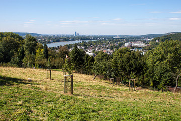 Fototapeta na wymiar View on a city of Bonn in background, Germany