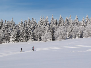 Ski de fond dans les Vosges