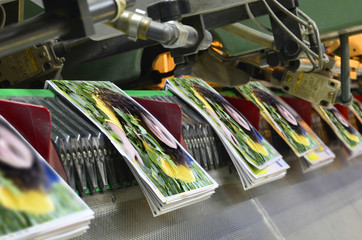 Brochure and magazine stitching process.