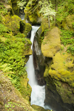 Ladder Creek Falls in North Cascades National Park