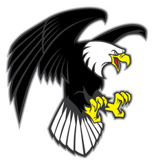 Fototapeta premium flying eagle