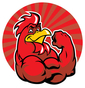 Strong Rooster Cartoon bilder – Bläddra bland 1,725 stockfoton, vektorer  och videor | Adobe Stock