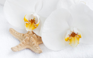 Fototapeta na wymiar Spa set with white orchids