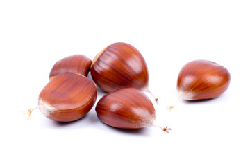 Esskastanien