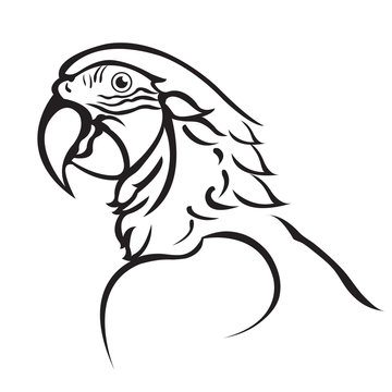 recommend clip art: Line art of parrot