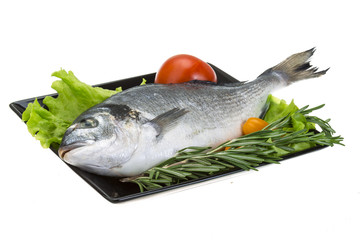Raw dorado