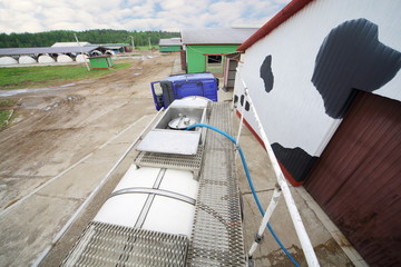 Loading of milk in truck stands near production barn