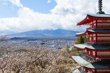 Fototapeta premium Wiśniowe kwiaty i pagoda w pobliżu ukrytych Mt. Fuji