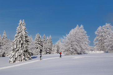 Fototapeta premium skieurs de fond