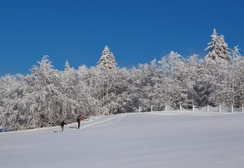 skieurs de fond