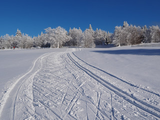 pistes de ski de fond