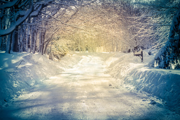 Snow covered country road in golden light