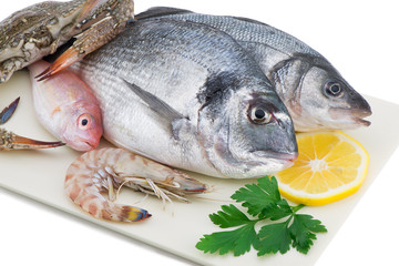 Seafood on Plate