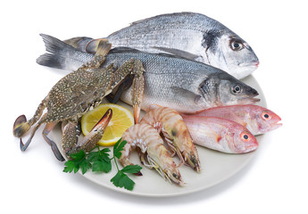 Seafood on plate isolated on white background