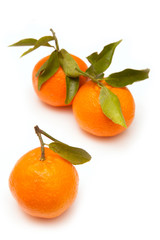 Clementine's isolated on a white studio background.