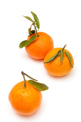 Clementine's isolated on a white studio background.