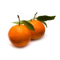 Clementine's isolated on a white studio background.