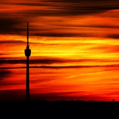 Obraz premium Sonnenaufgang