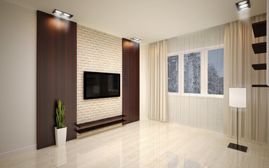interior Design. Modern empty living room