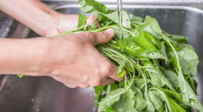 Washing Spinach Vegetables