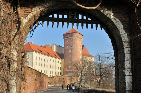 Fototapeta Wawel