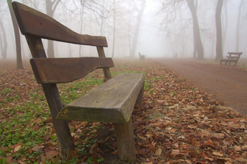 Bench in winter park.