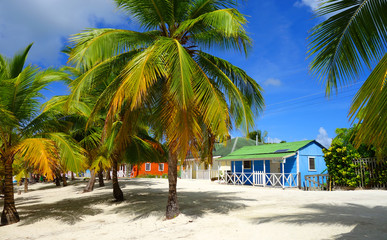 Maisons colorées des Caraïbes - 59847607