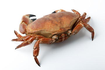 CRABE