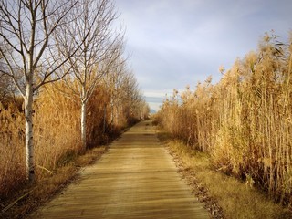 Delta del Llobregat