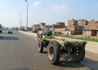 CAIRO, EGYPT - NOVEMBER 9, 2008: An unknown man riding in a carr