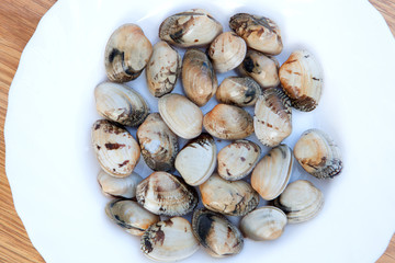 Fototapeta na wymiar Delicious clams prepared for cooking