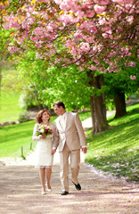 Fototapeta premium Newlywed couple having a stroll in park at spring