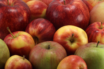 Fototapeta na wymiar яблоки