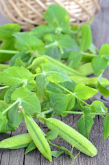 The green peas on table