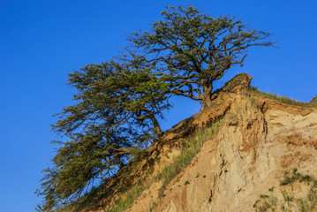 Erodierter Steilhang