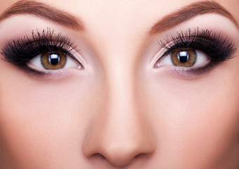 Naklejka premium Professional make up close up shot, beauty