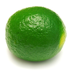 Lime